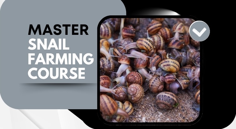 Master Snail