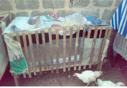 Wooden Cage Pen